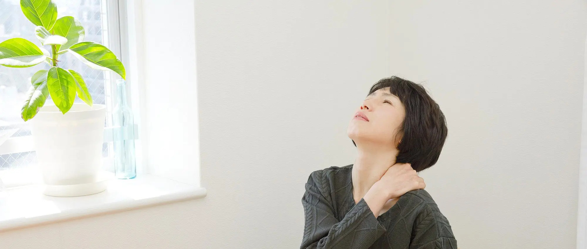 画像内容説明テキスト